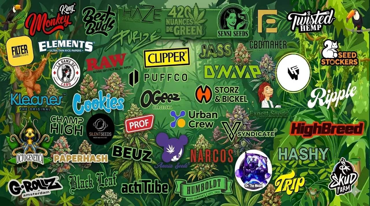 420 Nuances de Green — les marques de notre headshop : Raw, Clipper, Puffco, Dynavap, Cookies et bien d'autres