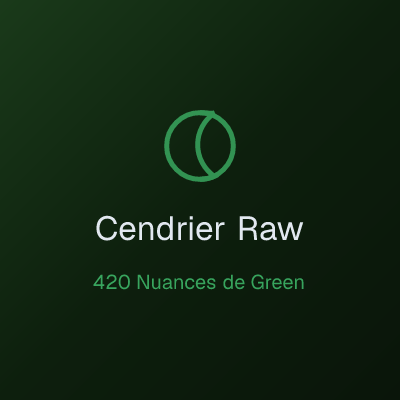 Cendrier Raw Magnetique