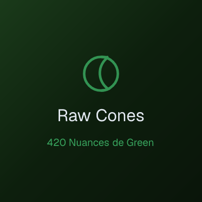 Raw Pre-Rolled Cones King Size
